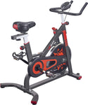 VIGBODY Exercise Bike Indoor