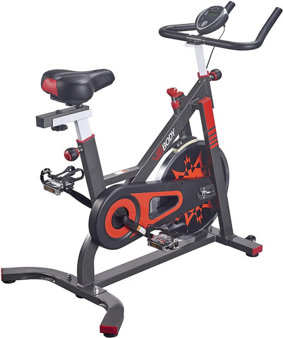 VIGBODY Exercise Bike Indoor